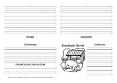 Schaf-Faltbuch-vierseitig-1.pdf